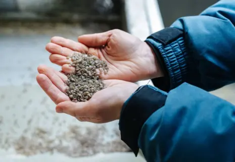 Экологичные гранулы. «Втор-Пласт» обновит свой завод по переработке полимеров