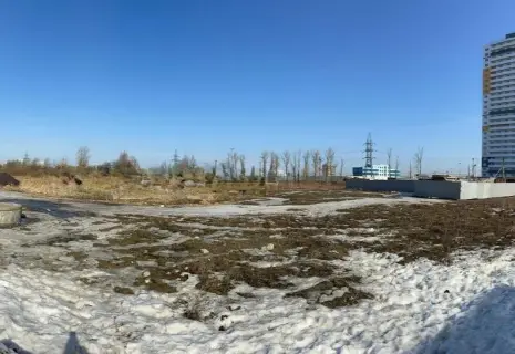 Шушарские гектары. РАД продает почти 10 га земли на юге Петербурга