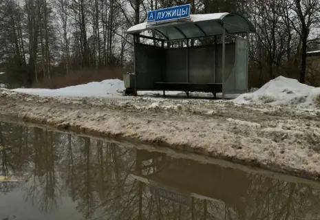 Макнули в Лужицы. Жители деревни в Ленобласти не верят ни президенту, ни губернатору