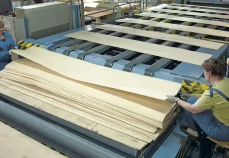 Фанера осталась финской. UPM продал российский бизнес своим соотечественникам
