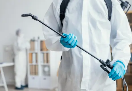 Миллиарды на клопах