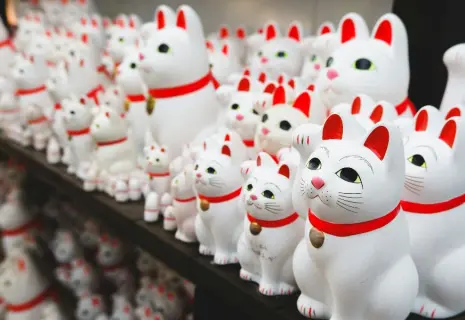 Тысяча и один котик