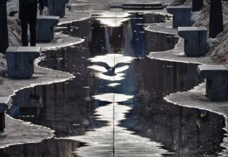 Фото недели. Александр Петросян о длинных лужах