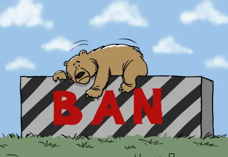 Сергей Ёлкин* о закрытых границах