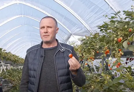 Невозродившийся "Феникс". Андрей Молчанов обанкротил Вячеслава Лейбмана