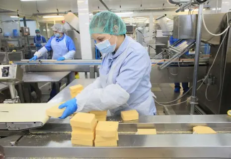 Крупные производители сыра пришли за премией