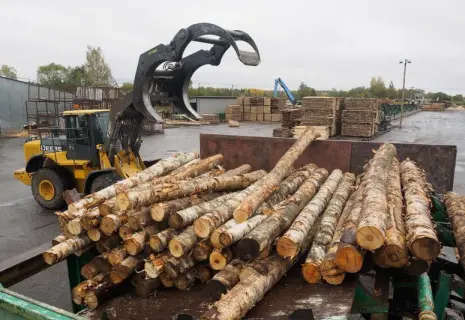 Три делянки за три года. Runko Group расширяет лесные угодья