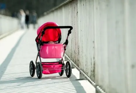 Гузель Улумбекова: «Россияне не рожают, потому что у них на это нет средств»