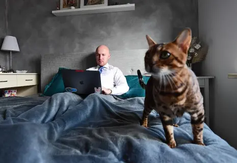 Котоковидная реальность. Как домашние животные меняют бизнес к лучшему