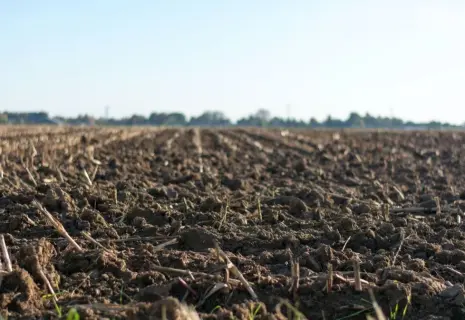 Великая депрессия в сельском хозяйстве. Отрасль не ждет от 2022 года чудес