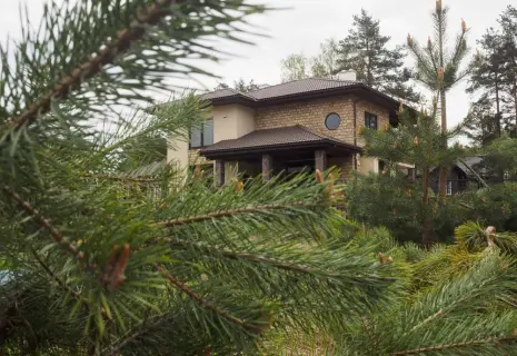 Дачный ответ. Кризис повысил стоимость загородных участков и домов