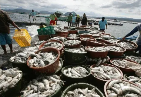 Рынок проснулся и побежал. Как развивается e-commerce в Юго-Восточной Азии