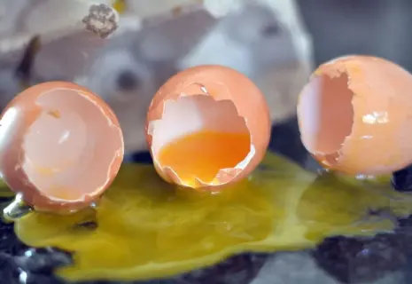 У разбитого яйца. «Леноблптицепром» вошел в конкурсное производство