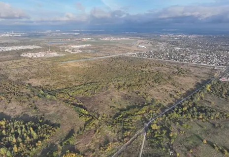 Из "Цветов" в индустрию. Землю под теплицами уценили