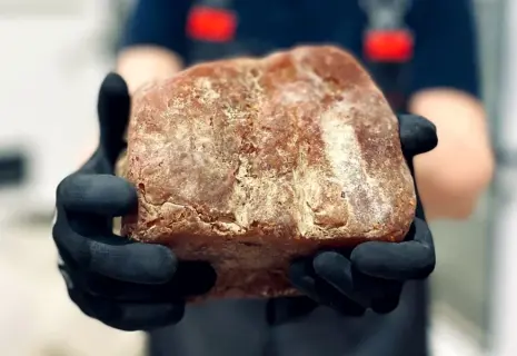 В Калининграде добыли самородок янтаря весом почти 1,5 кг
