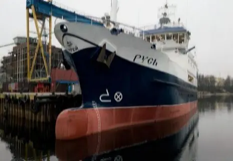 Золотой живовоз. Областную верфь атаковали тихоокеанские рыбаки