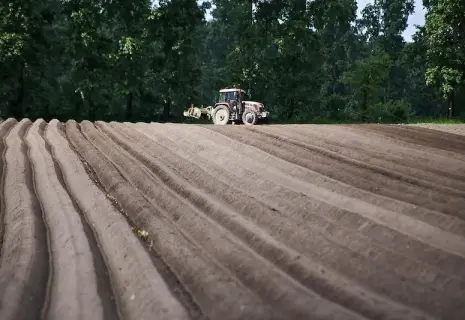 Холодная логика. «Выборжец» отказался сажать картошку