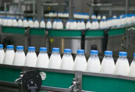 Молочные реки потекут за границу. Российские производители выходят в мир