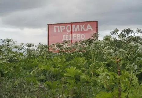 Кадастровая коллизия. Не все предприятия Ленобласти будут рады отмене новой кадастровой оценки