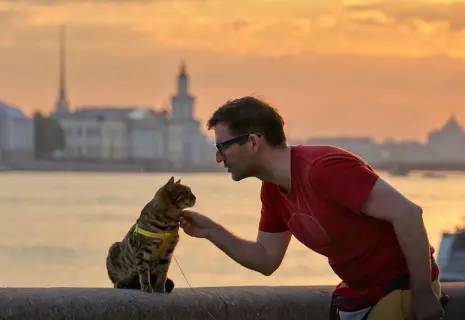 Курс на pet-friendly. Как мегаполисы перестраиваются под нужды хвостатых