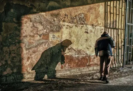 Фото недели. Александр Петросян про направление движения