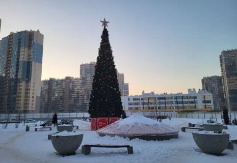 Компания Setl Group установила новогодние ели в четырех районах Петербурга