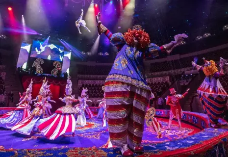 Итоги года. Хлеб и зрелища для культурной столицы