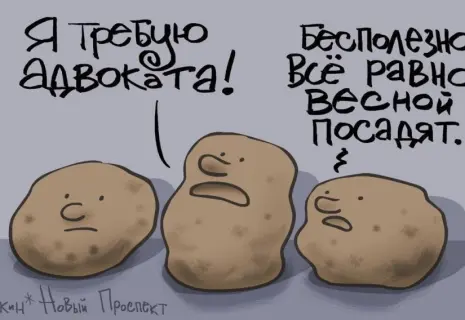 Сергей Ёлкин* о начале посевной