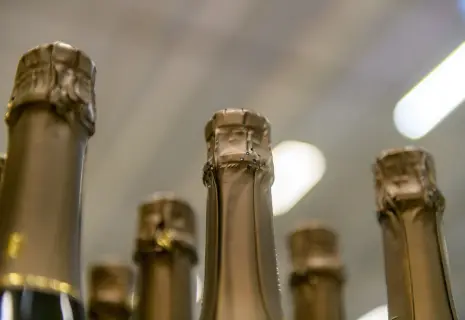 Хмельное дело. Завод "Северная Венеция" больше не наливает