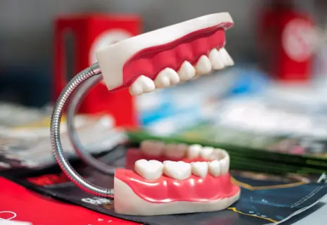 Зубы на полке