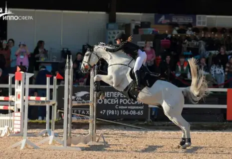 Конная выставка «Иппосфера» грандиозно отпразднует юбилей!