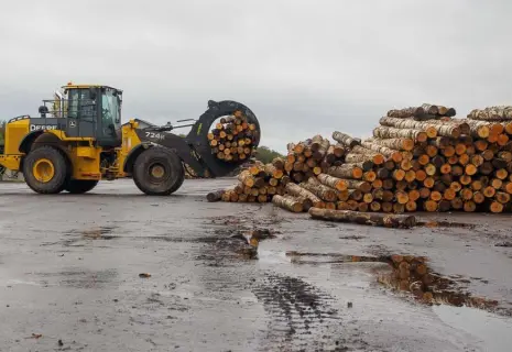 Лес под градусом. Лесопереработчик Runko Group поменял совладельца