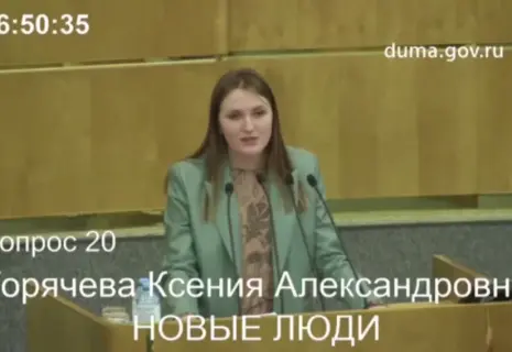 Госдума приняла в первом чтении поправки к закону об общественном контроле