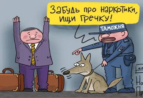 Сергей Елкин* о жизненно важной для России крупе