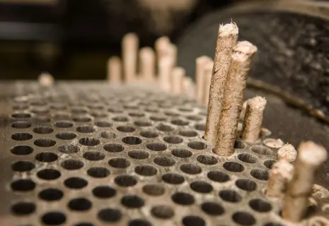 Segezha Group присмотрелась к активам Сабадаша