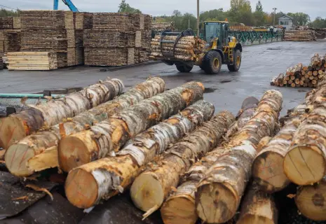 Треск древесины. Финские инвесторы покидают Ленобласть