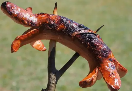 Колбаса и арбитраж. Основатель «Пит-Продукта» на грани личного банкротства