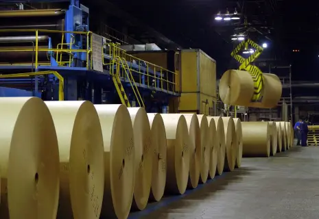 Бумажный кризис заставил Архангельский ЦБК выпустить пробную партию небеленой бумаги