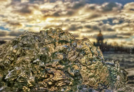 Фото недели. Александр Петросян о Ветрограде и Вотербурге