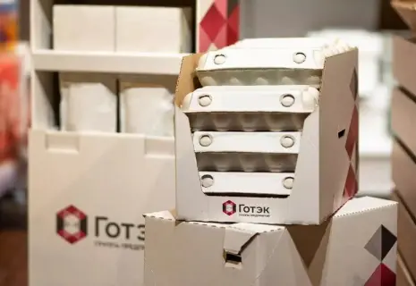 Переложили яйца в другую корзину. «Готэк» выходит из непрофильного бизнеса.