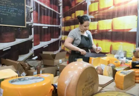 А сыр и ныне там. Почему в Ленобласти не складывается сырный кластер