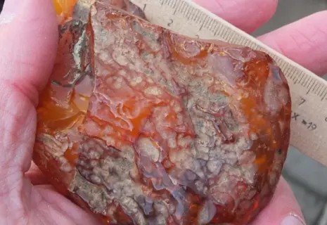 Самый дорогой лот на аукционе редких видов янтаря в Калининградской области ушел за 1,13 млн рублей