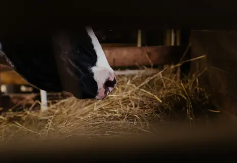 Новый старый владелец. «Технократ» забрал имущество «Агротехники»