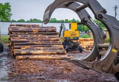 Кошелек и жизнь. Лесопромышленники ждут снижения аренды делянок