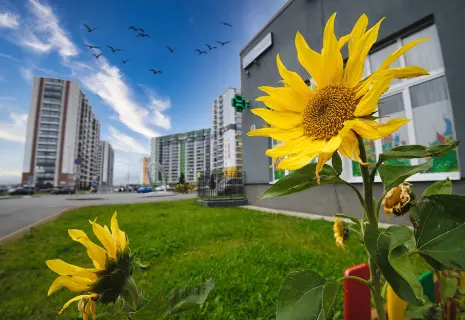 Стройка по-женски