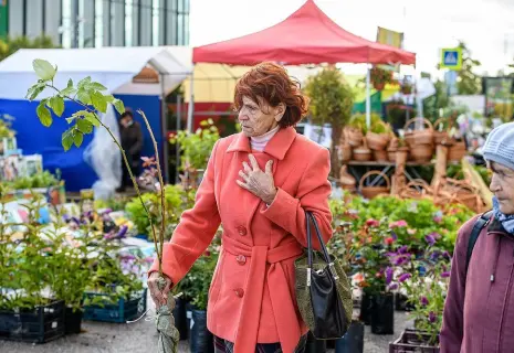 Редис и рукола вместо цветов. Петербуржцы готовятся к дачному сезону