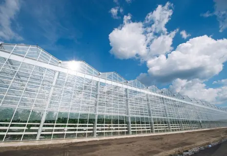 Белгородские активы приподняли «Рост». Компания из Петербурга расширяется в регионах