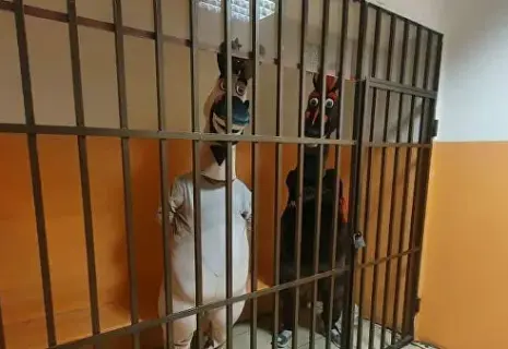 Осел и лошадь за решеткой: в Сочи арестовали двух аниматоров за вымогательство