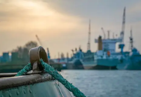 Продюсер для угольного терминала. У компании "Порт Высоцкий" новый собственник