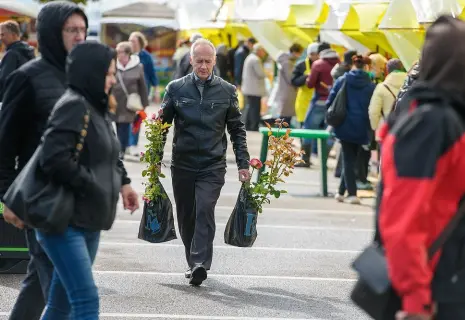 Не репой единой. Петербург готовится к дачному сезону